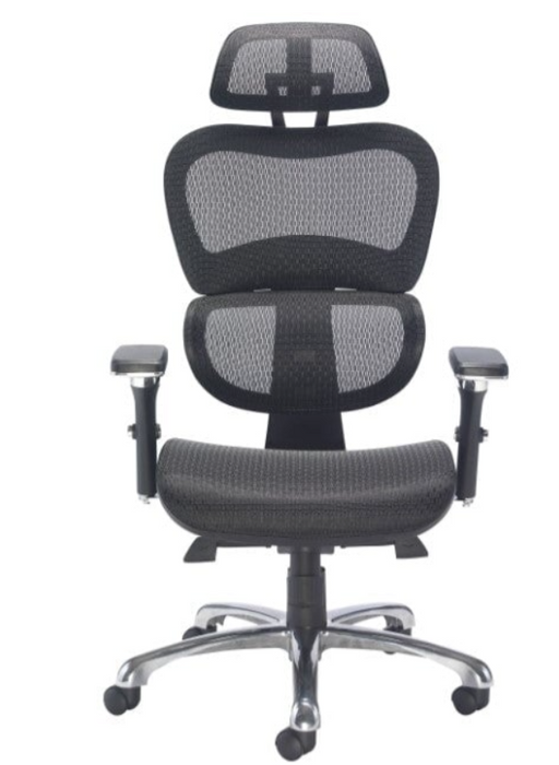 Chachi Mesh Office Chair