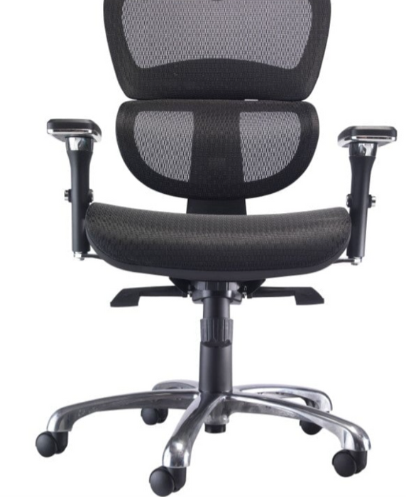 Chachi Mesh Office Chair