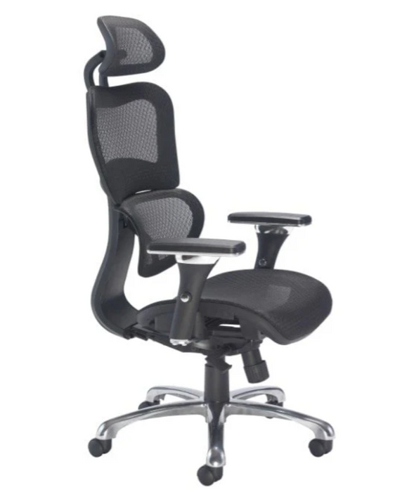 Chachi Mesh Office Chair