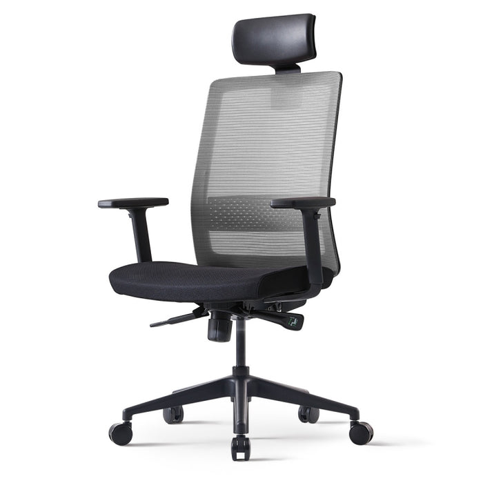 S30 High Back Mesh Task Chair with Headrest