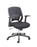 Carbon Chair Mesh Office Chair