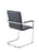 Pavia Meeting Chair