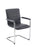 Pavia Meeting Chair