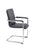 Pavia Meeting Chair