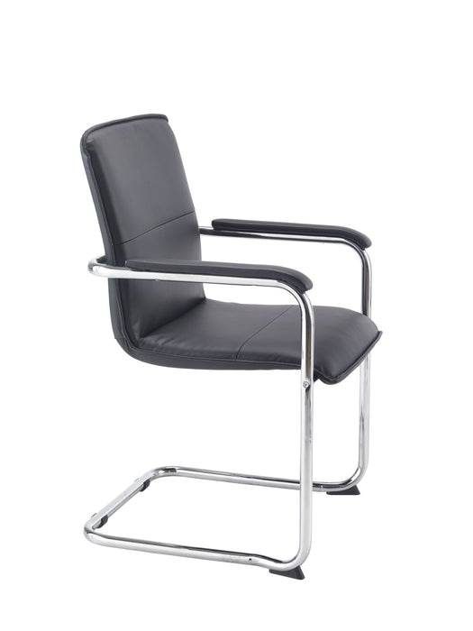 Pavia Meeting Chair