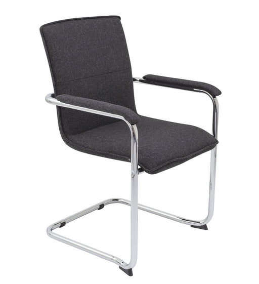 Pavia Meeting Chair