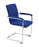 Pavia Meeting Chair