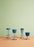 Pedrali Dream 4813 Low Stool